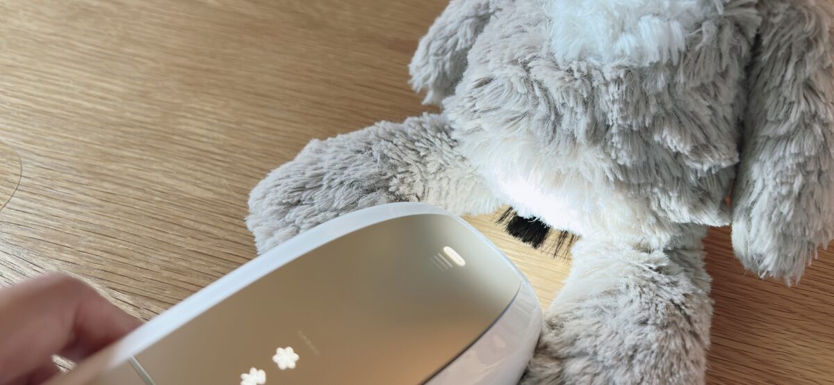 ランプでぬいぐるみの毛を照らして照射位置を合わせているところ
