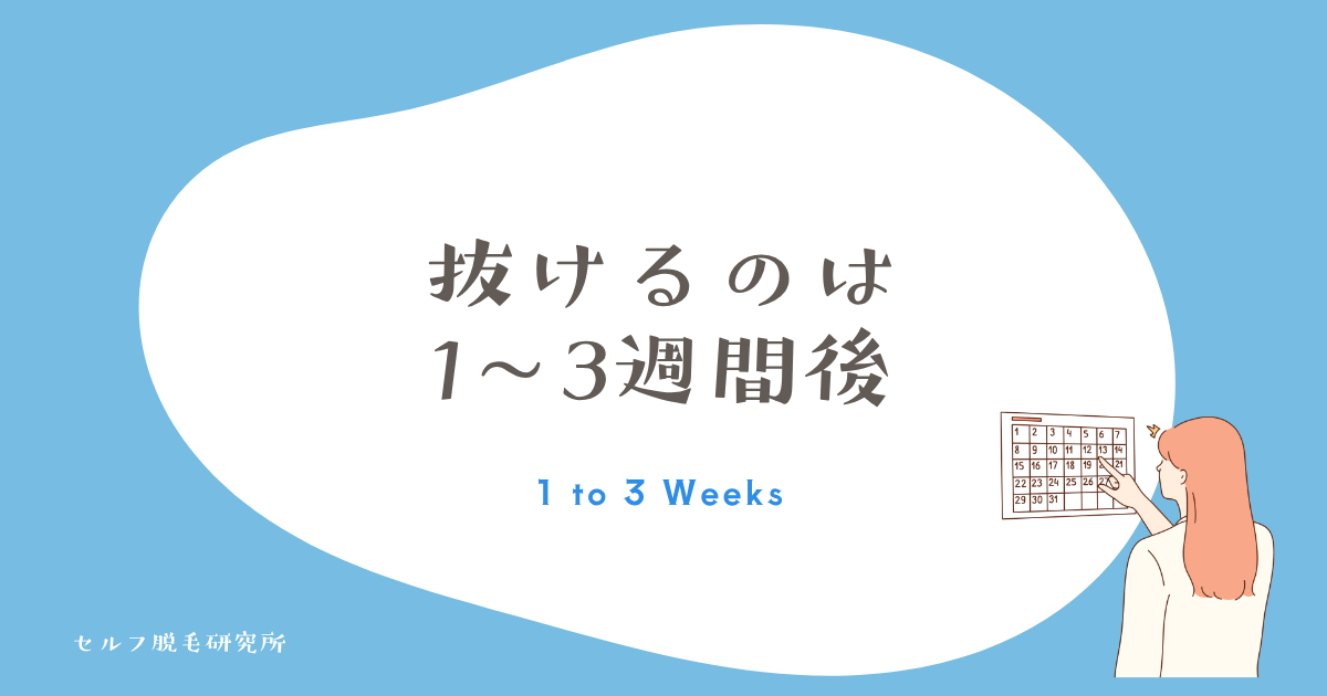 【結論】ケノンは照射後1〜3週間でムダ毛が自然に抜ける